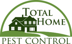 Pest Control Chelmsford